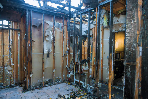 Professional Smoke Damage Removal technician working in Missouri City, TX